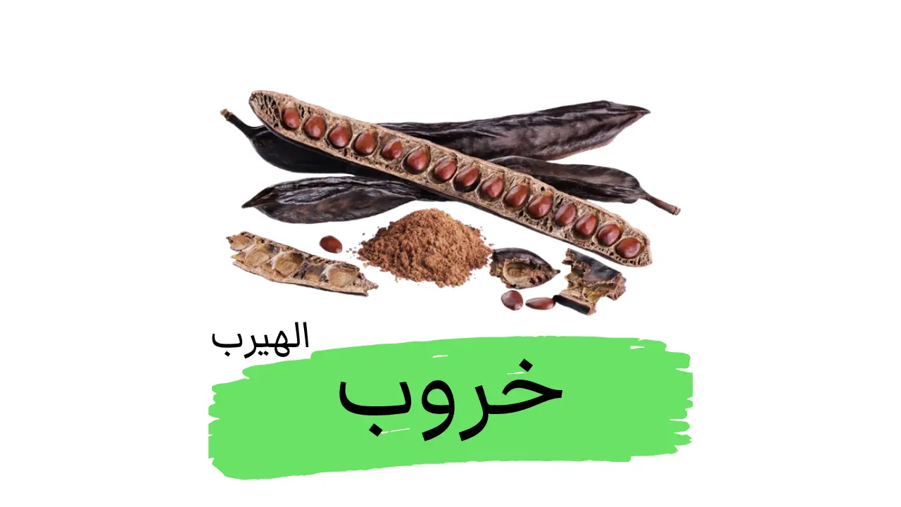 فوائد وأضرار الخروب