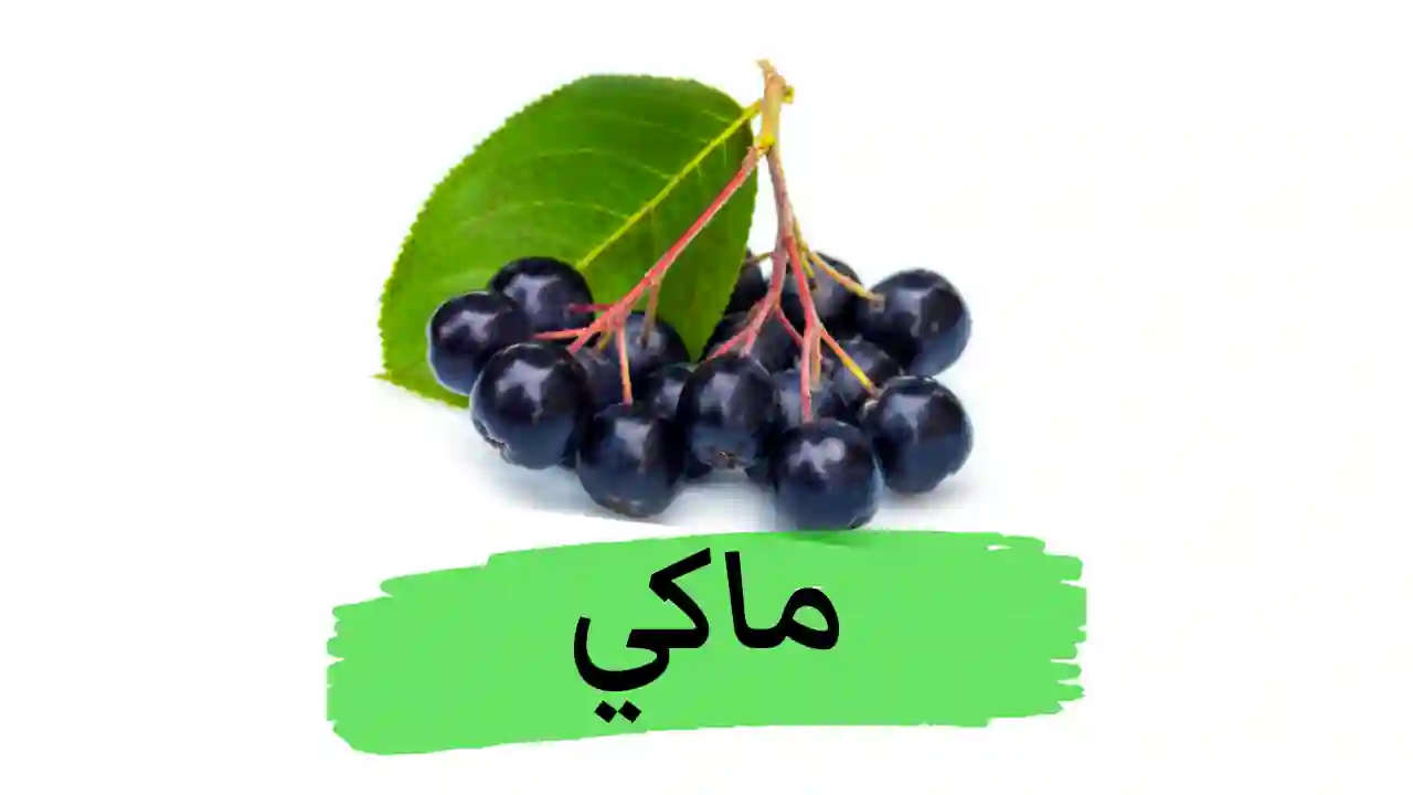 ما هو توت الماكي (maqui berry)و ما فوائد وأضرار هذه الفاكهة على صحة الجسم 