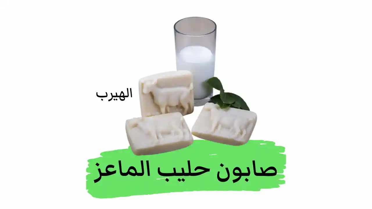 فوائد صابون حليب الماعز(Goat milk soap ) لصحة الجلد وجمال البشرة