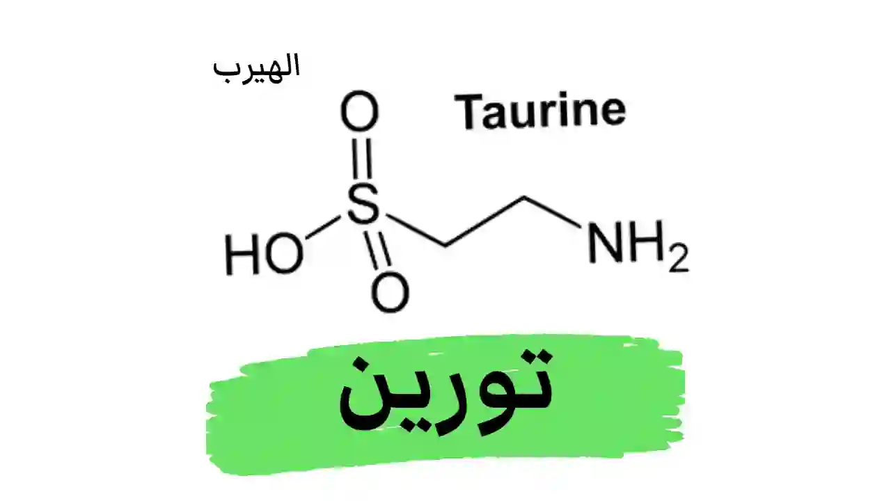 ما هو التاورين أو التوين Taurine (في مشروب الطاقة) وما فوائد وأضرار هذا الحمض الأميني 