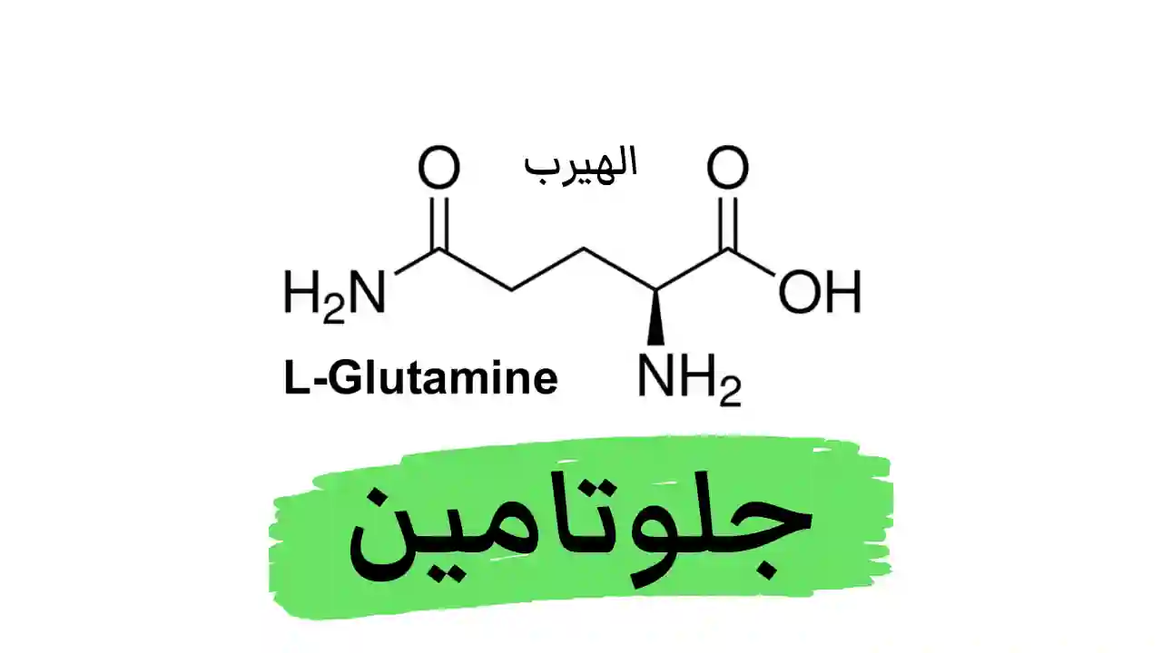 ما هو الجلوتامين (glutamine) ومافي فوائد وأضرار هذا الحمض الأميني للصحة