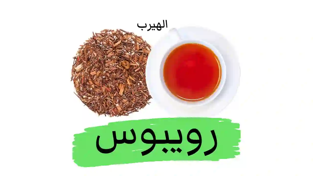 أضرار وفوائد شاي الرويبوس (Rooibos Tea)لصحة الجسم  