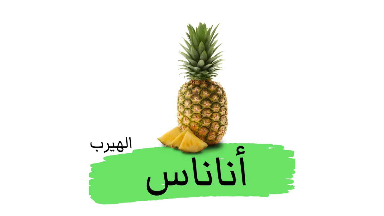 Ananas comosus الأناناس