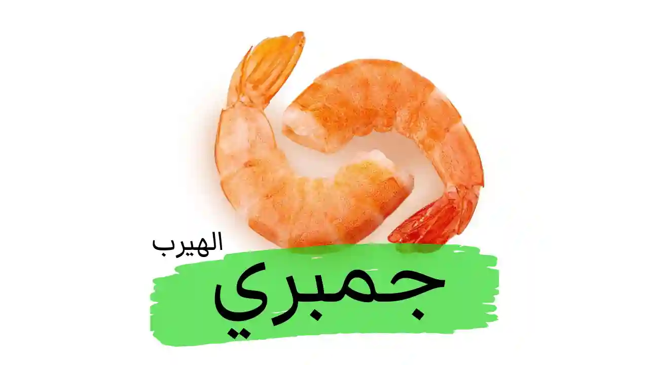 فوائد وأضرار الجمبري ( الروبيان Shrimp) الهيرب alherb الصحية والغذائية 