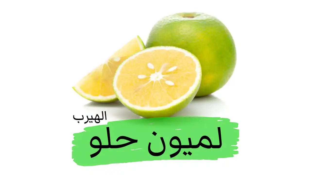 ماهي فوائد وأضرار الليمون الحلو Sweet Lime (موسامبي Mosambi) للصحة ولجمال الشعر والبشرة؟
