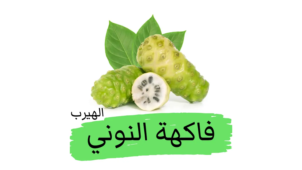 فاكهة النوني (التوت الهندي): الفوائد والأضرار 