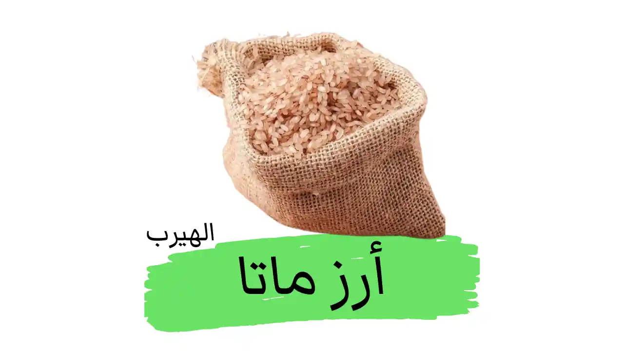 أرز ماتا (أرز روزيماتا، أرز بالاكادان ماتا، أرز كيرالا الأحمر) :الفوائد والأضرار 