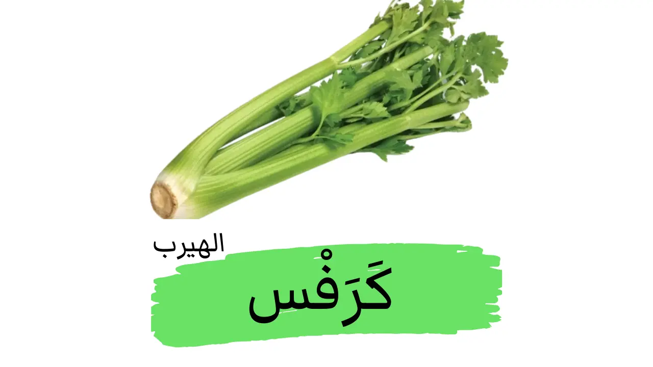 ما هي فوائد وأضرار نبات الكرفس (Celery)?