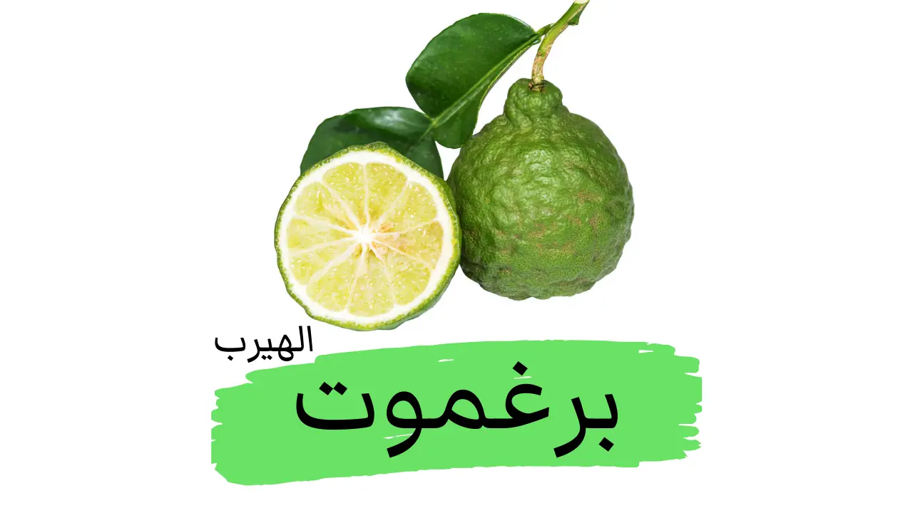 فاكهة البرغموت: الفوائد الصحية والاستخدامات والأضرار والآثار الجانبية