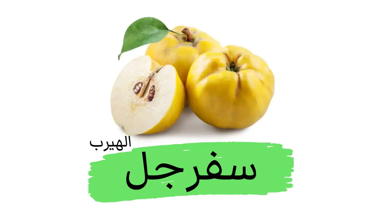 فوائد وأضرار فاكهة السفرجل