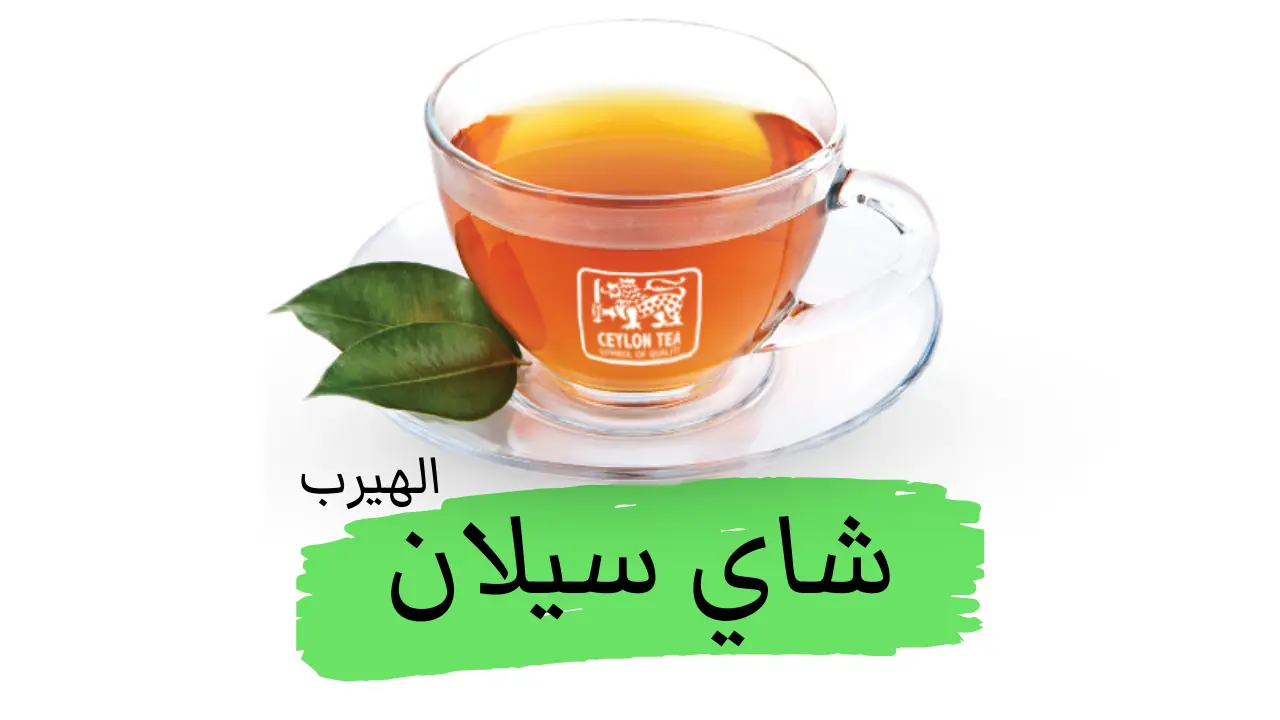 ما هو الشاي السيلاني (شاي سيلان)؟ : الفوائد والأضرار الصحية