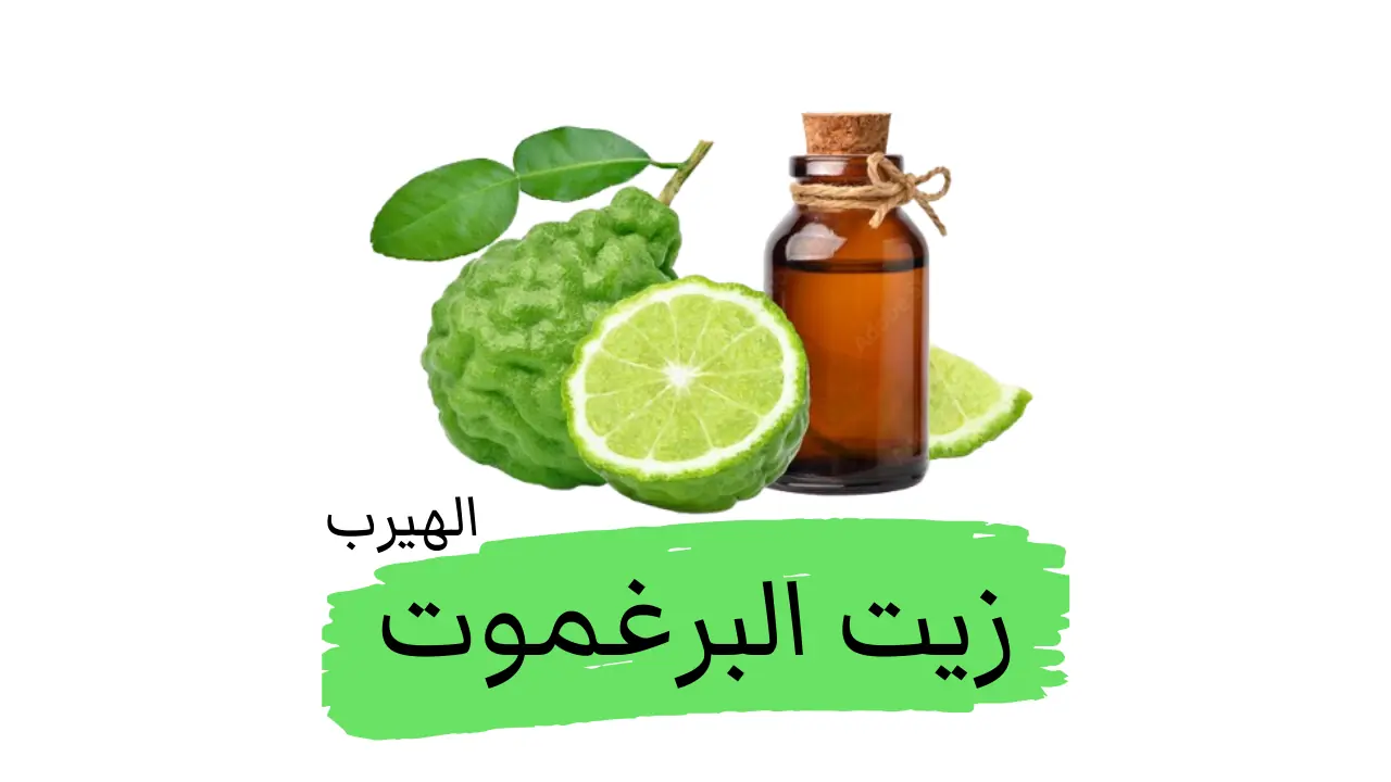 زيت البرغموت العطري: الفوائد والأضرار لصحة الجسم والبشرة والشعر