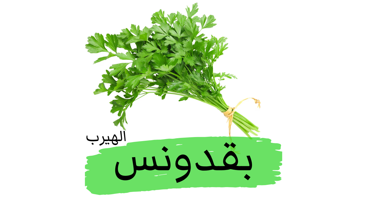 فوائد البقدونس وأضراره الصحية 