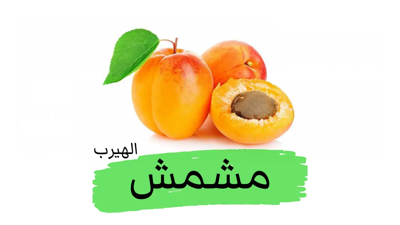 Apricot  المشمش