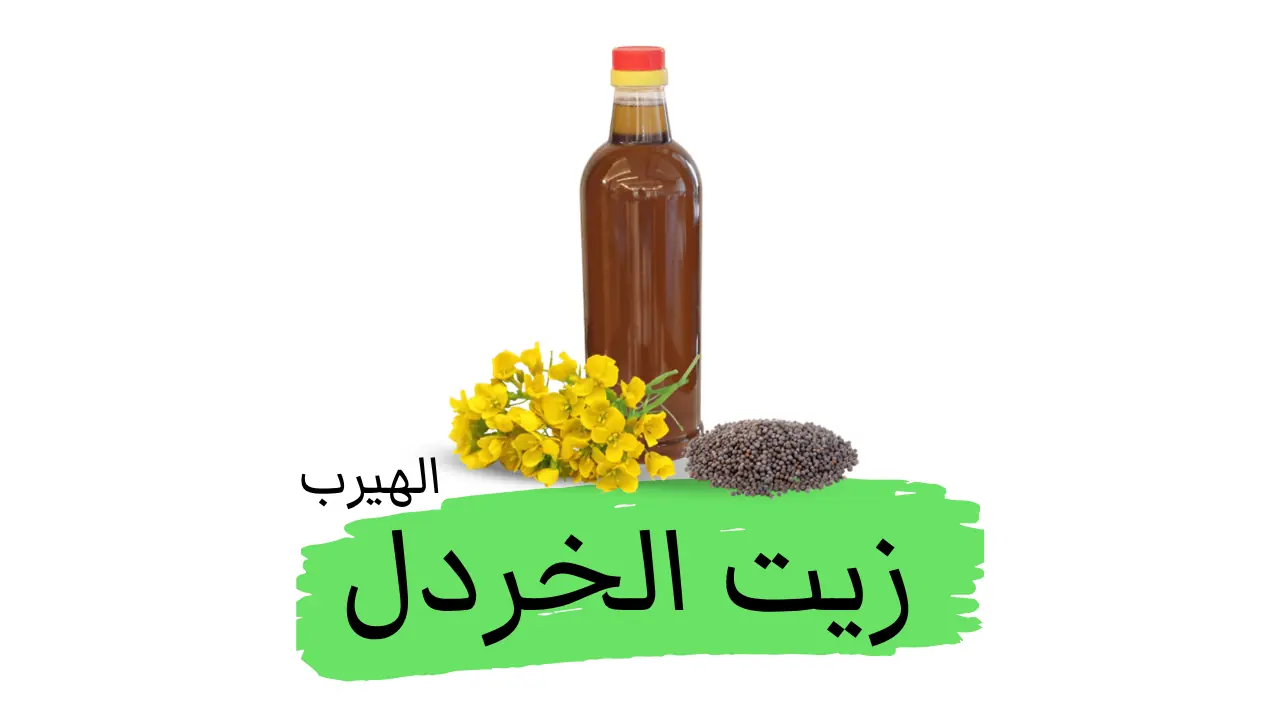 فوائد وأضرار زيت الخردل لصحة الجسم وجمال البشرة والشعر