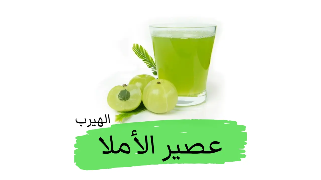 فوائد وأضرار عصير الأملا