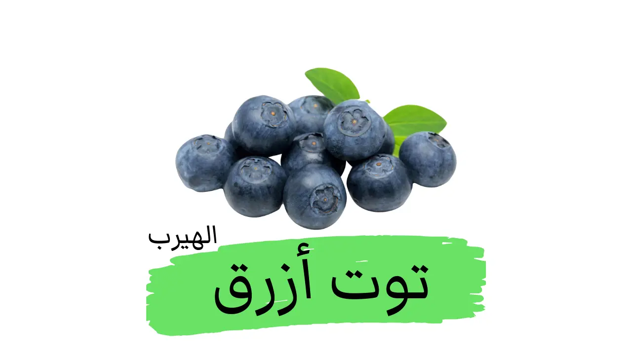 فوائد وأضرار التوت الأزرق