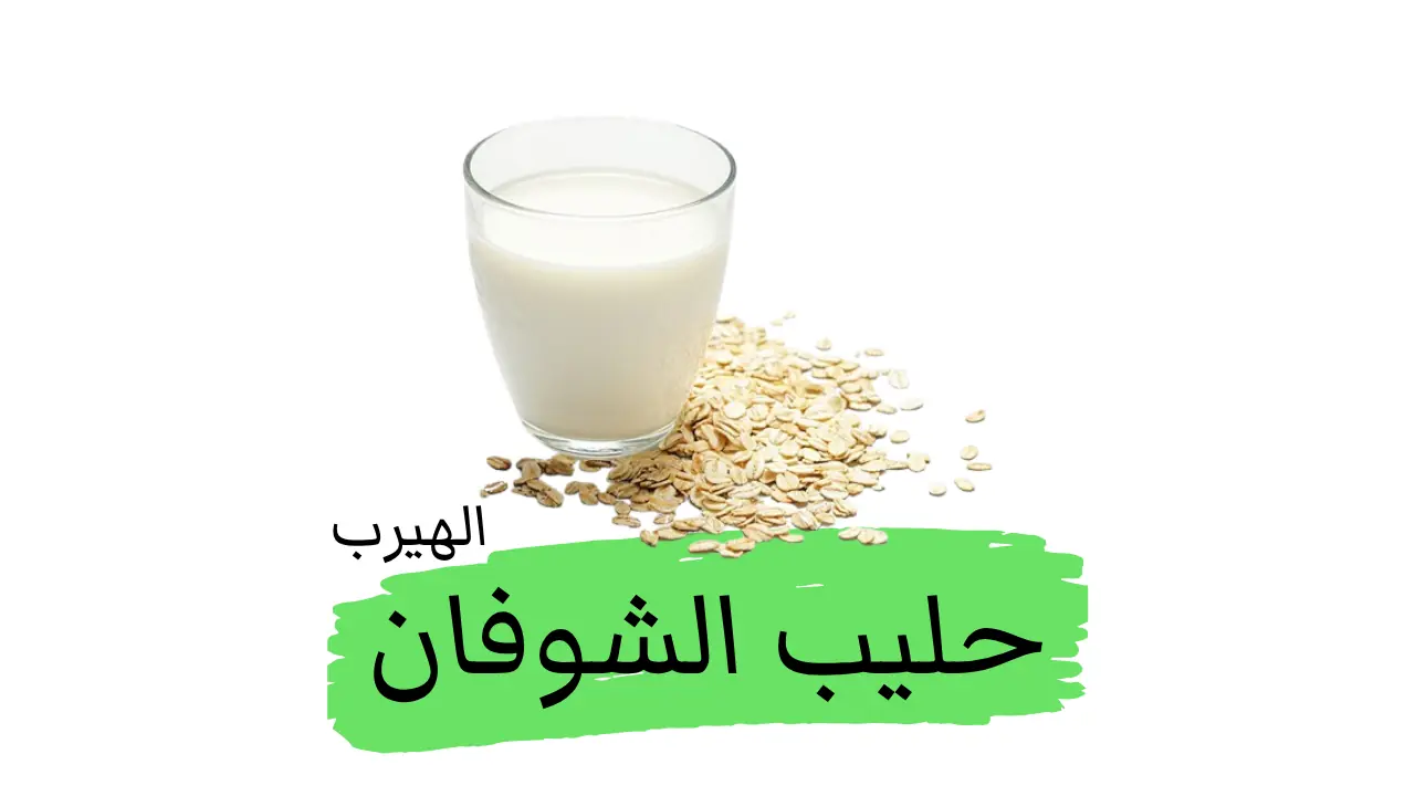 حليب الشوفان : الفوائد والأضرار الصحية والغذائية