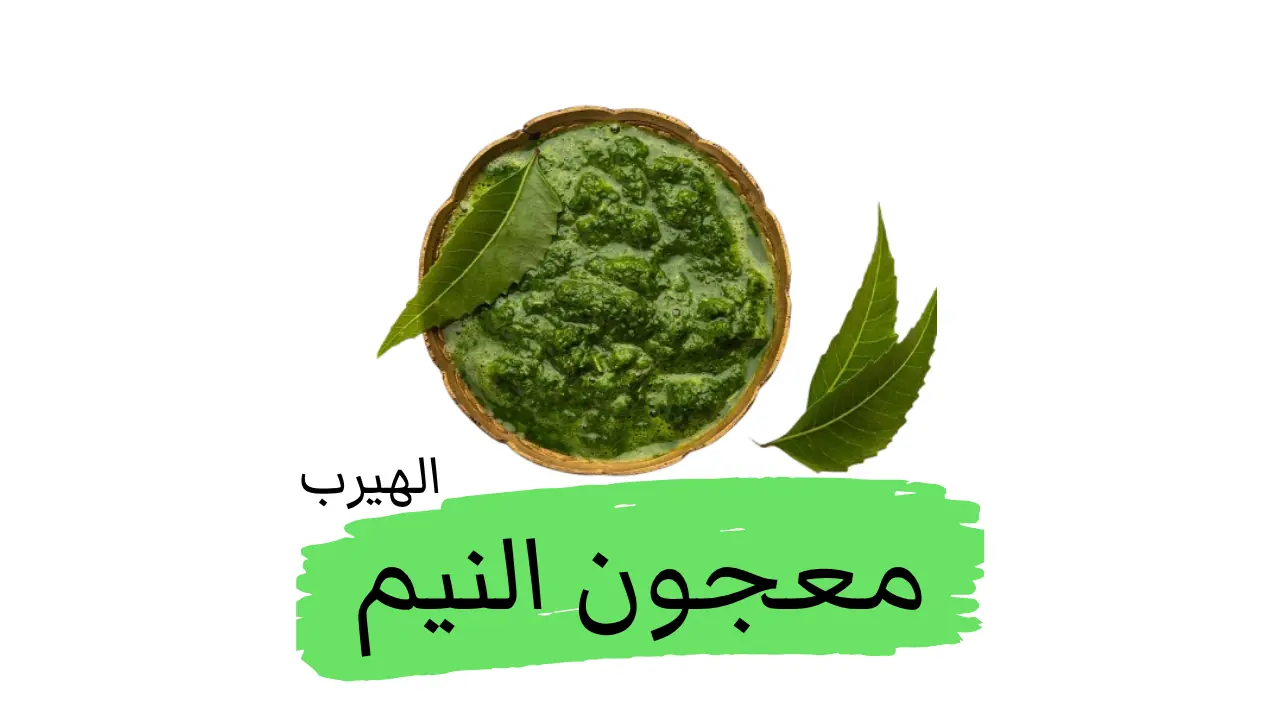 فوائد معجون النيم للبشرة