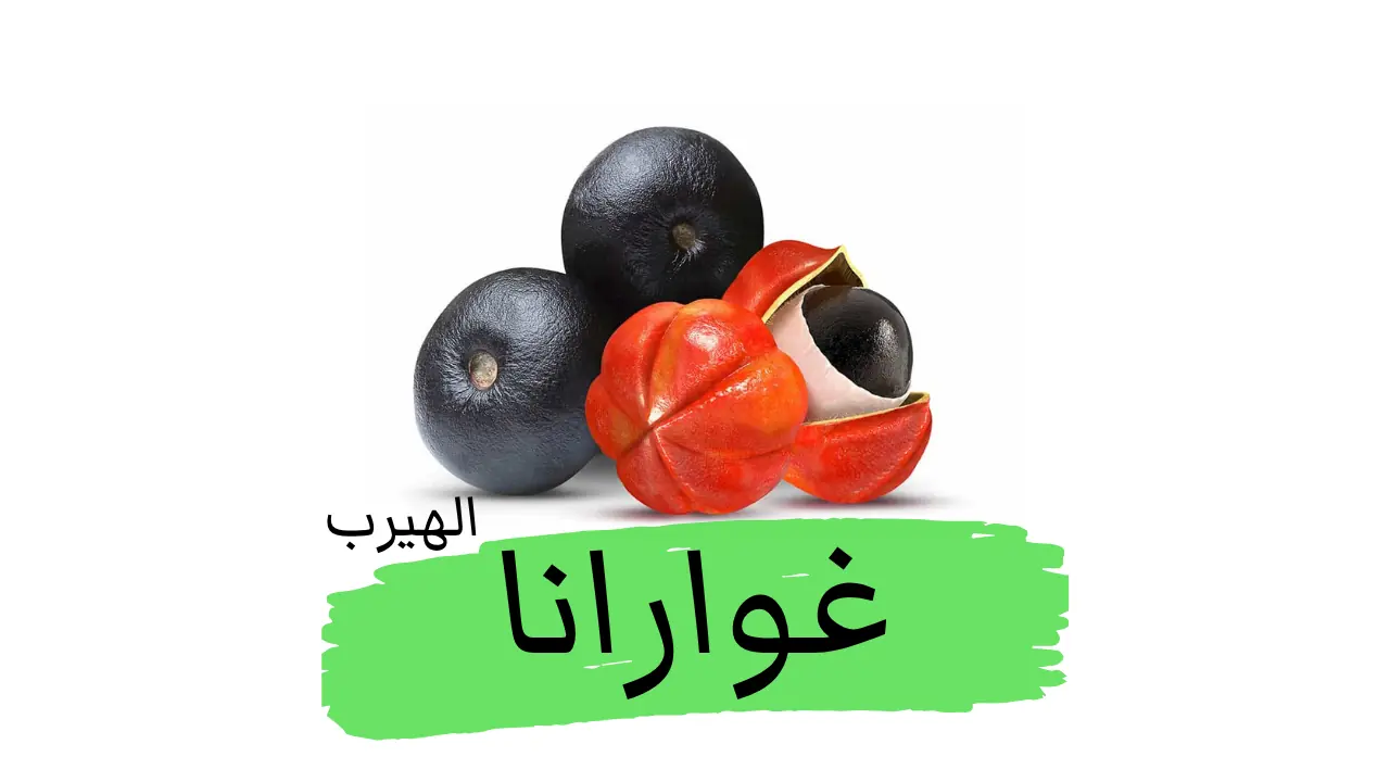 ماهي الغوارانا ؟ الفوائد والأضرار الصحية