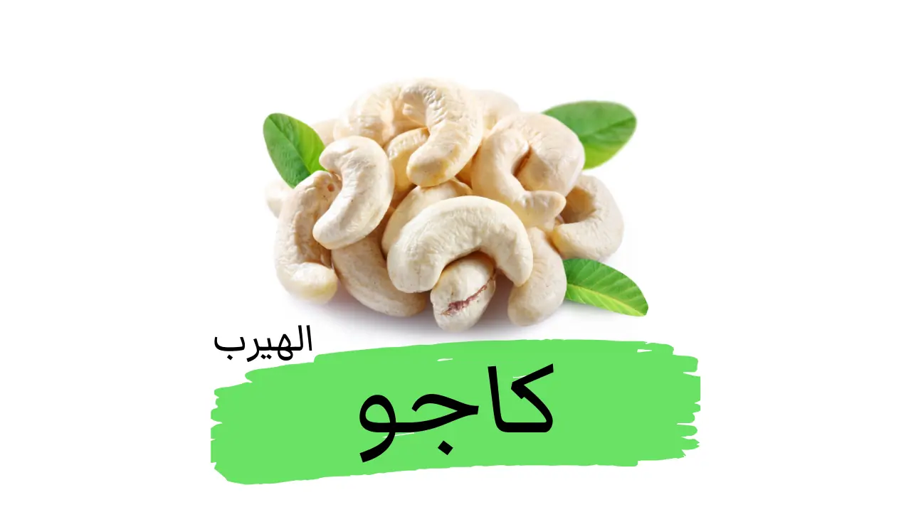 فوائد وأضرار الكاجو cashew