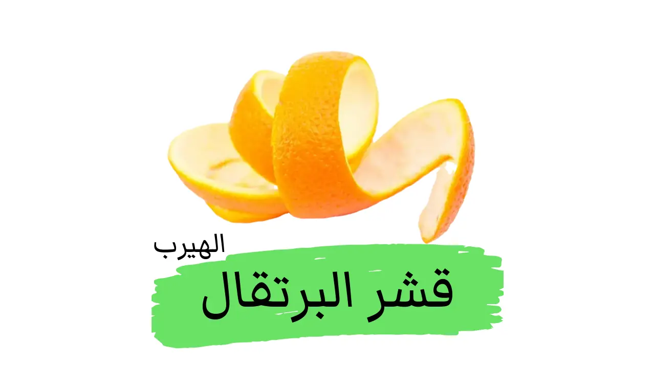 Orange Peels فوائد وأضرار قشر البرتقال