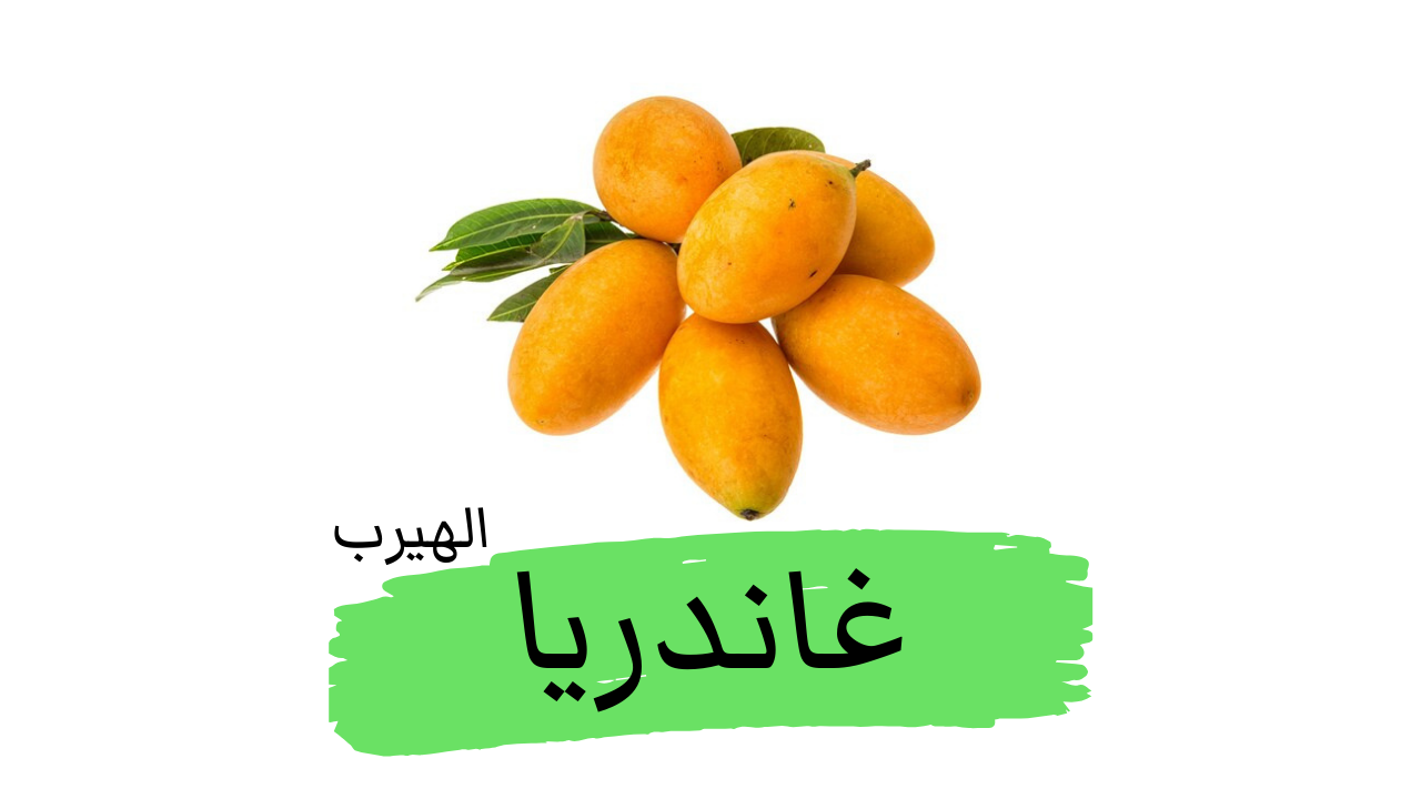 فاكهة غاندريا: الفوائد والأضرار