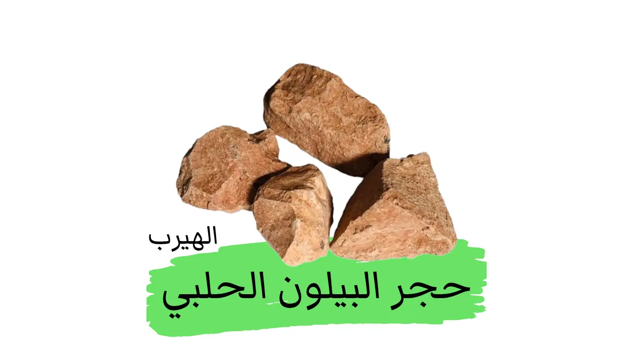 حجر البيلون: الترابة الحلبية
