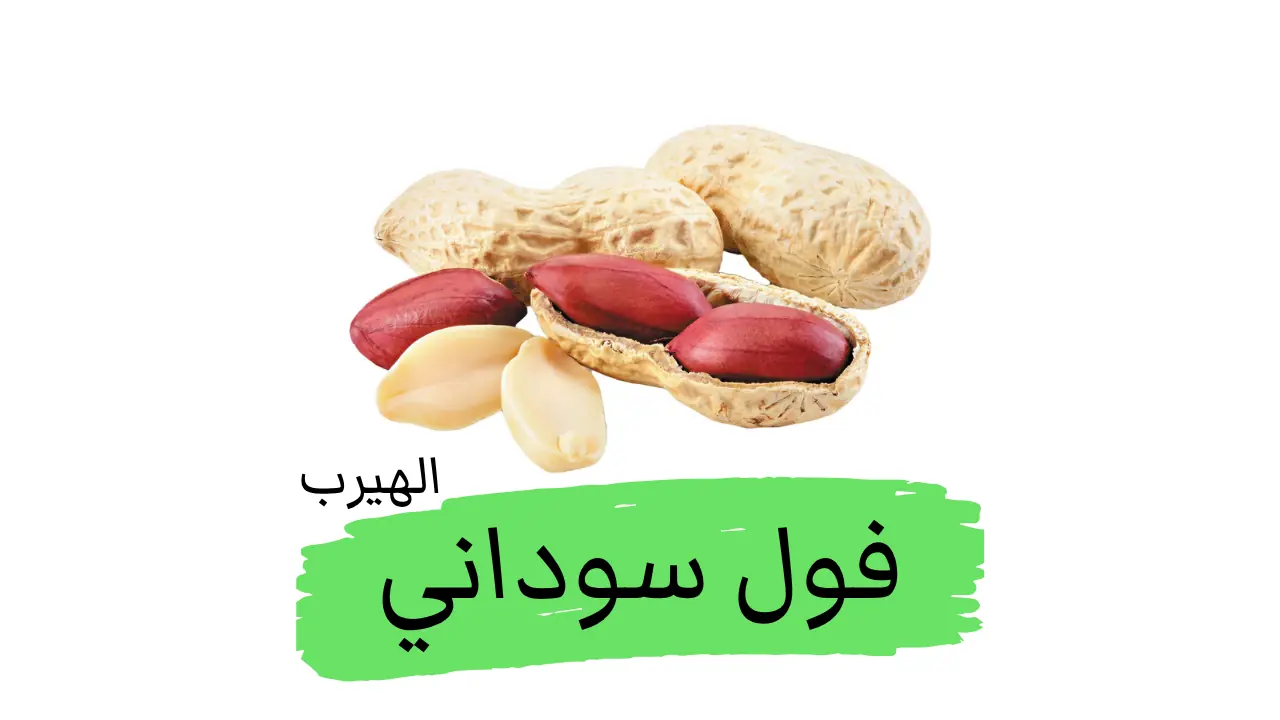 فوائد وأضرار الفول السوداني