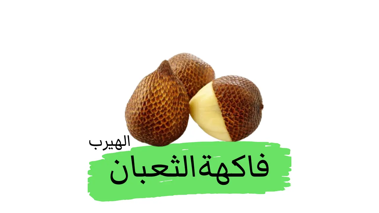 نبات السّلاك الصّغير (فاكهةالثعبان)،السّلاك الملايوي وثمرة الثعبان الآسيوية : الفوائد والأضرار