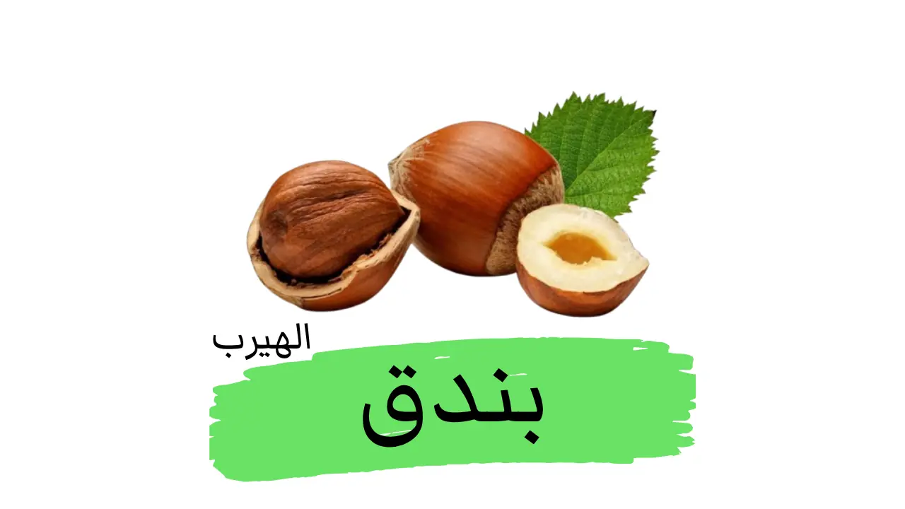 فوائد وأضرار البندق
