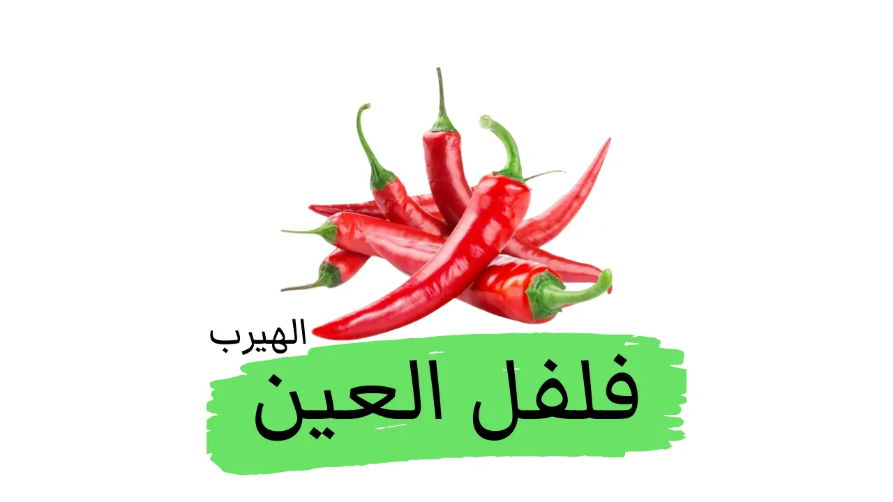 فلفل العين (الفلفل الحار الآسيوي) : الفوائد والأضرار الصحية والغذائية