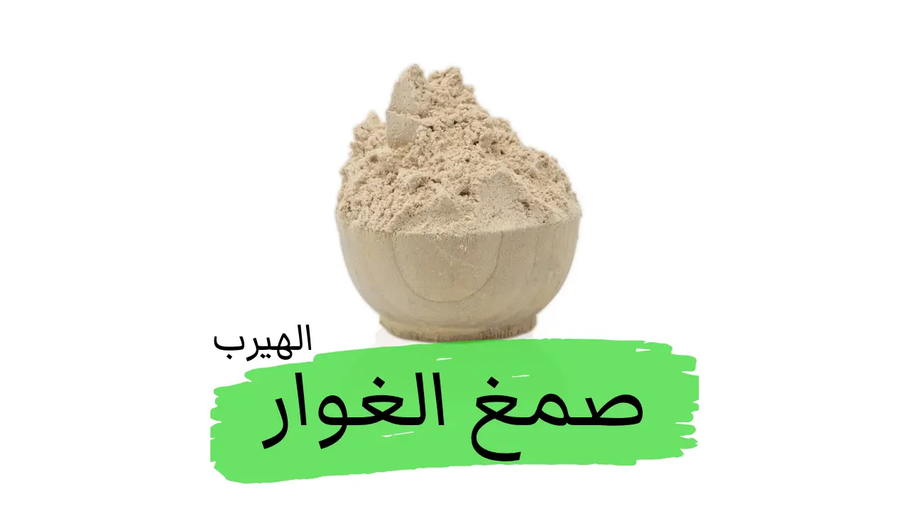 صمغ الغوار: الفوائد الصحية والاستخدامات الغذائية والصناعية ومحاذير الاستعمال