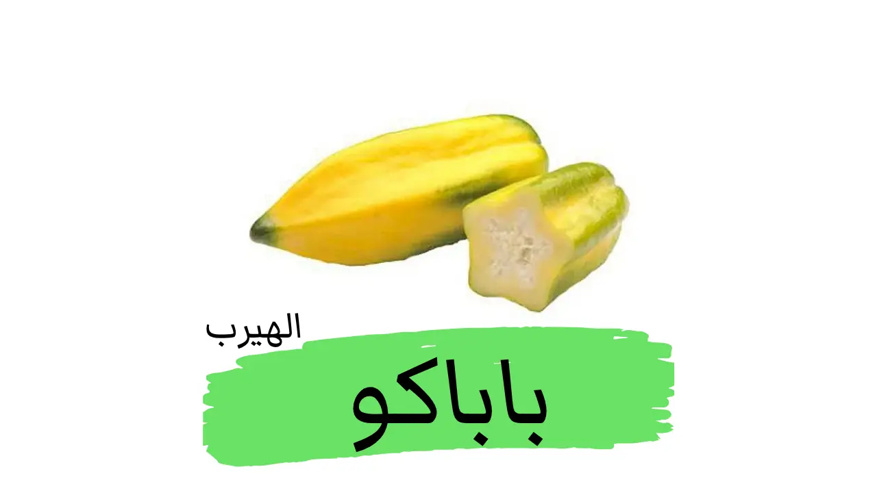 ما هي فاكهة باباكو؟ الفوائد والأضرار الصحية والقيم الغذائية