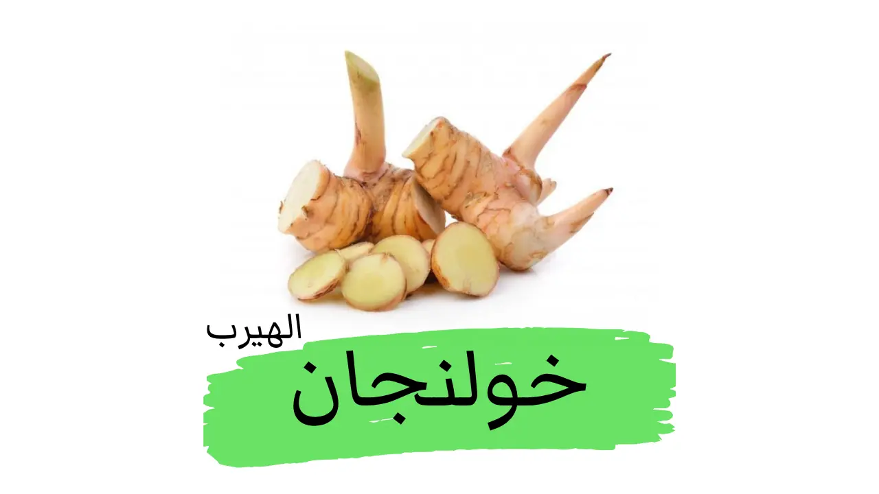 ما هو الخولنجان؟ الفوائد والأضرار الصحية والغذائية