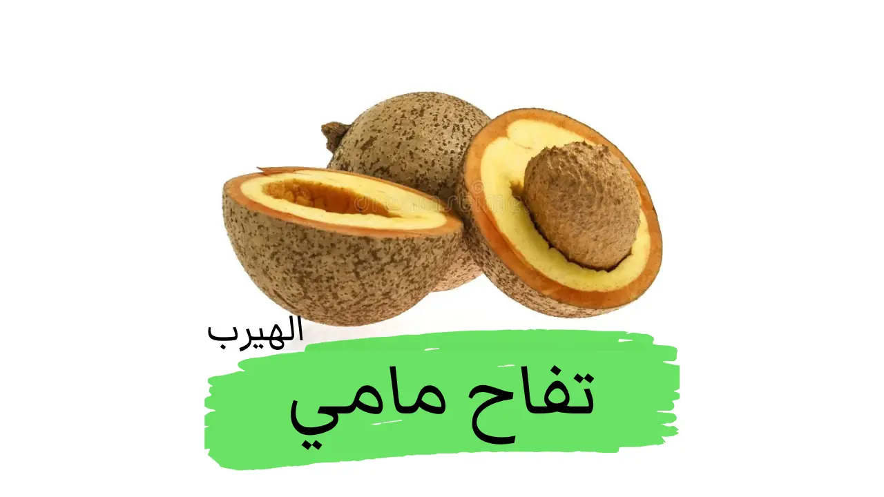 تفاح مامي،  فاكهة المميّة الأمريكية : الفوائد والأضرار