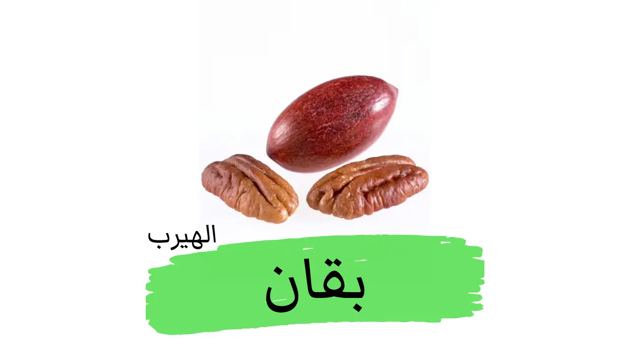 ما هو جوز البقان؟ الفوائد والأضرار الصحية الغذائية Carya illinoinensis