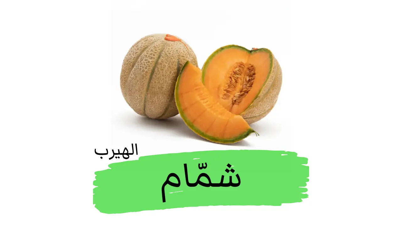 Cucumis melo فوائد وأضرار البطيخ الأصفر (الشمام)