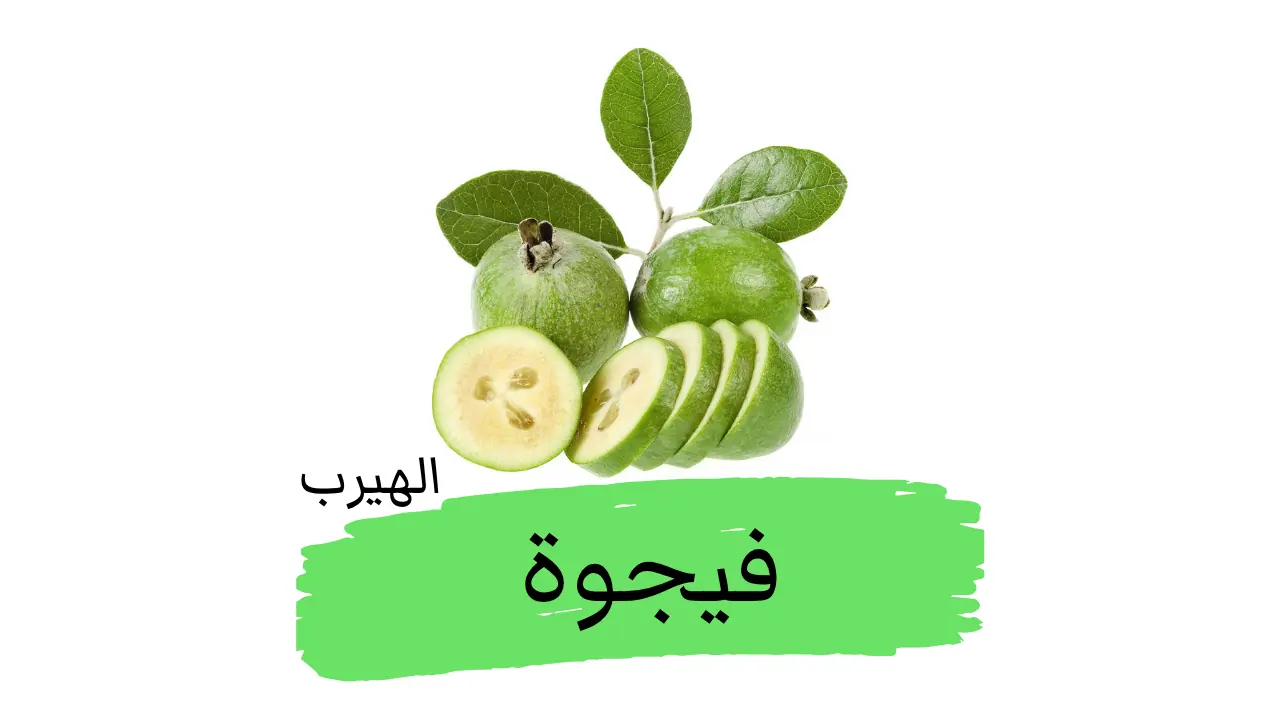 الجوافة الأناناسية (فيجوا) : الفوائد والأضرار Acca sellowiana