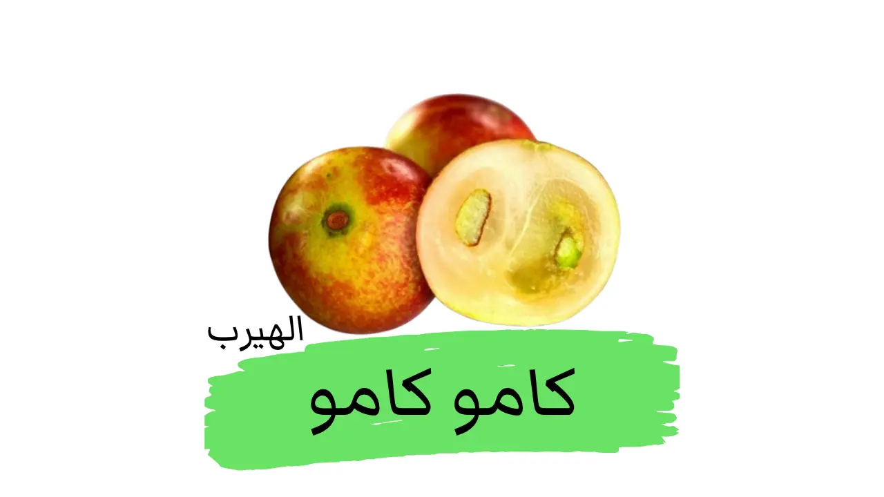الكامو كامو Myrciaria dubia الفوائد والأضرار
