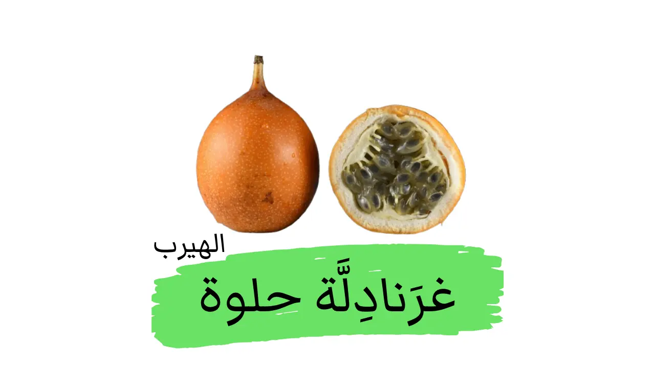Passiflora ligularis Juss.  الغرَنادِلَّة الحلوة أو فاكهة الآلام اللُّسَيْنية/ الباشن فروت الحلو : الفوائد والأضرار