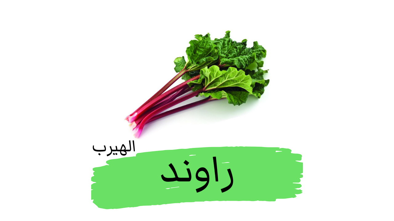 فوائد وأضرار الراوند  Rheum rhabarbarum 