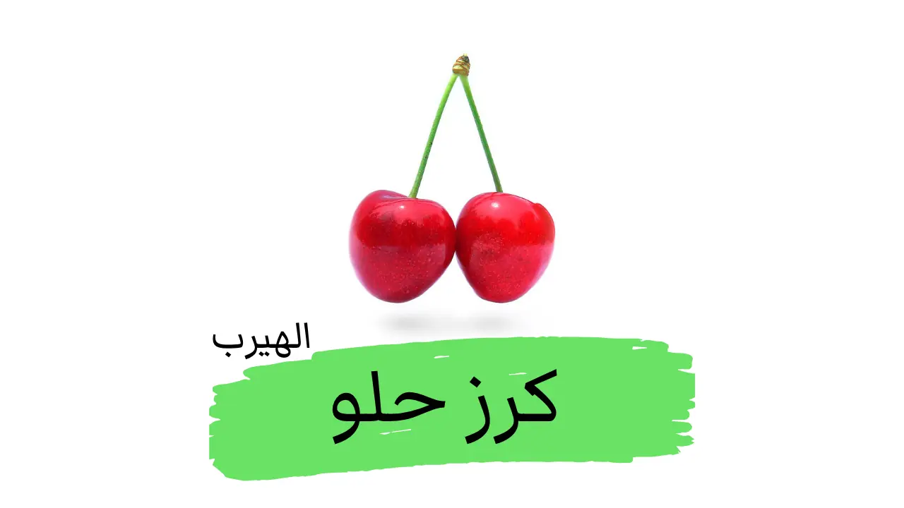 Prunus avium ما هو الكرز الحلو (الكرز البري)؟ الفوائد والأضرار الصحية والغذائية