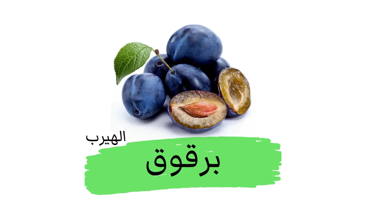 Prunus domestica فوائد وأضرار البرقوق (الخوخ الأوروبي)