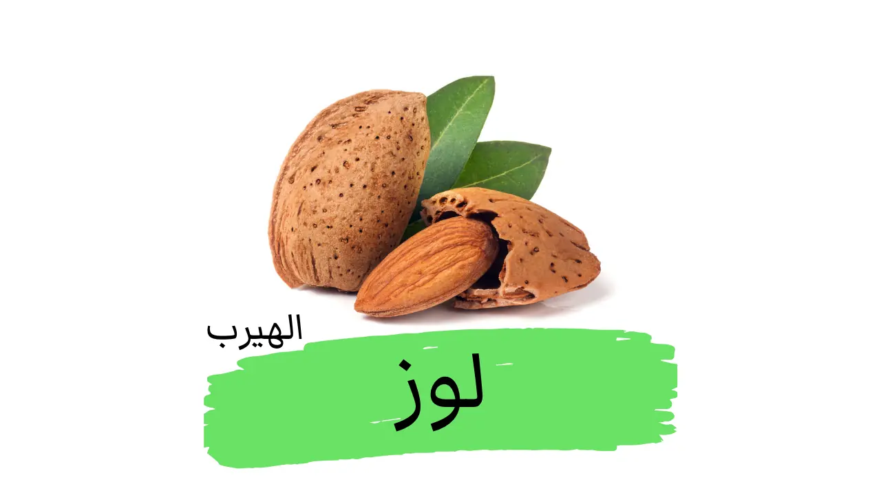 Prunus dulcis فوائد اللوز وأضراره الصحية والغذائية 